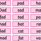 PINK SERIES | Montessori Activity - Word Cards | Educational Material