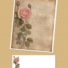 Antique Rose - Stationery Set - Lined Writing Paper and Envelopes