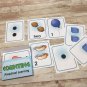 Counting - Busy Bee Preschool Learning - 40 Educational Flash Cards UNCUT PRINT
