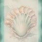 Seashells - Stationery Set - Watercolor Design - Writing Papers 50 Sheets