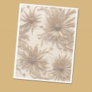 Ornate Decor - Lined Stationery Paper (25 Sheets)  8.5 x 11 Premium Paper