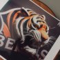CINCINNATI BENGALS 8.5x11 ULTRA PREMIUM GLOSSY REPRINT FOOTBALL LOGO ART POSTER