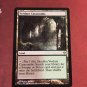1x Mtg Proxy Verdant Catacombs Zendikar magic the gathering proxy mtg cards Proxies