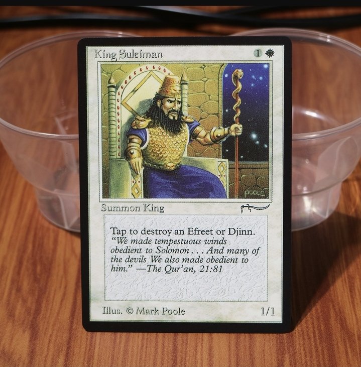 1x Mtg Proxy King Suleiman AN (Arabian Nights) ARN magic the gathering proxy mtg cards