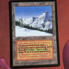 1x Mtg Proxy Taiga Beta magic the gathering proxy mtg cards