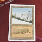 1x Mtg Proxy Taiga Revised magic the gathering proxy mtg