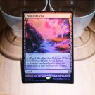 1x Mtg Proxy FOIL Polluted Delta Zendikar Expeditions magic the gathering proxy mtg cards