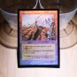 1x Mtg Proxy FOIL Wasteland magic players rewards 2001 magic the gathering proxy mtg cards