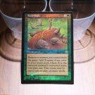 1x Mtg Proxy FOIL Food Chain Mercadian Masques magic the gathering proxy mtg cards