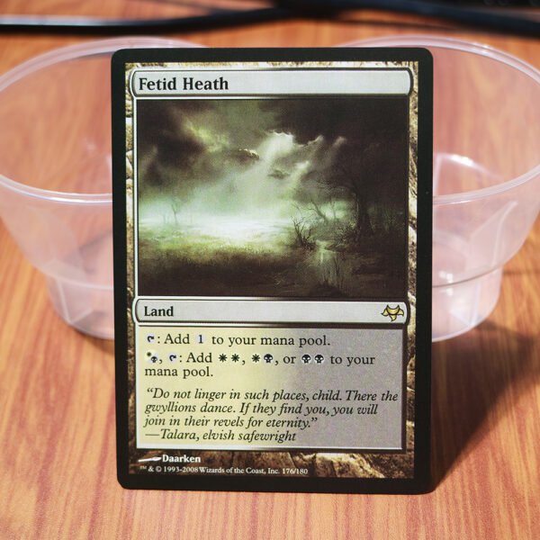 1x Mtg Proxy Fetid Heath Eventide(EVE) magic the gathering proxy mtg cards