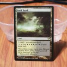 1x Mtg Proxy Fetid Heath Eventide(EVE) magic the gathering proxy mtg cards
