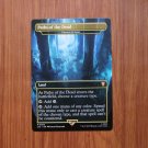 1x Mtg Proxy Paths of the Dead (Cavern of Souls) LTC #362 Hologram
