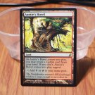 1x Mtg Proxy Auntie’s Hovel LRW (Lorwyn) magic the gathering proxy mtg cards