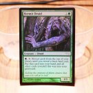 1x Mtg Proxy FOIL Hermit Druid Judge Gift Cards 2004 G04 foil magic the gathering proxy