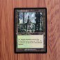 1x Mtg Proxy Temple Garden Ravnica Remastered (RVR) Retro frame magic
