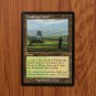 1x Mtg Proxy Windswept Heath #440 Modern Horizons 3 (MH3)