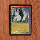 1x Mtg Proxy FOIL Wastes #410 TSR foil magic the gathering proxy mtg