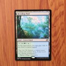 1x Mtg Proxy Breeding Pool #251 Edge of Eternities EOE magic the gathering
