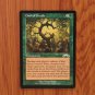 1x Mtg Proxy Oath of Druids #115 EXO Exodus magic the gathering proxy mtg cards