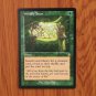 1x Mtg Proxy Worldly Tutor #353 DMR Dominaria Remastered magic the gathering proxy mtg