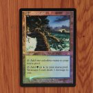 1x Mtg Proxy FOIL Yavimaya Coast #143 APC Apocalypse Foil magic the gathering proxy mtg