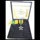 Maestri del Lavoro D'Italia MASONIC Medal pin in sterling silver 925 to the merit