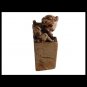 Foo dog Chinese Imperial guardian lion in carved soap stone 19th century