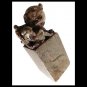 Foo dog Chinese Imperial guardian lion in carved soap stone 19th century