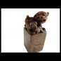 Foo dog Chinese Imperial guardian lion in carved soap stone 19th century