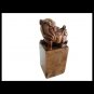 Foo dog Chinese Imperial guardian lion in carved soap stone 19th century