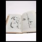 FLORA ECONOMICA della LIBIA Libro book by A. Trotter Original edition 1915
