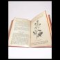 I PRATI Libro manuale HOEPLI Original edit 1909 by Marchettano book