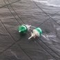 MALACHITE Stud EARRINGS in SILVER 800 and green stone Original in gift pouch