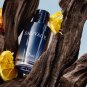 Sauvage EDT 100 ml