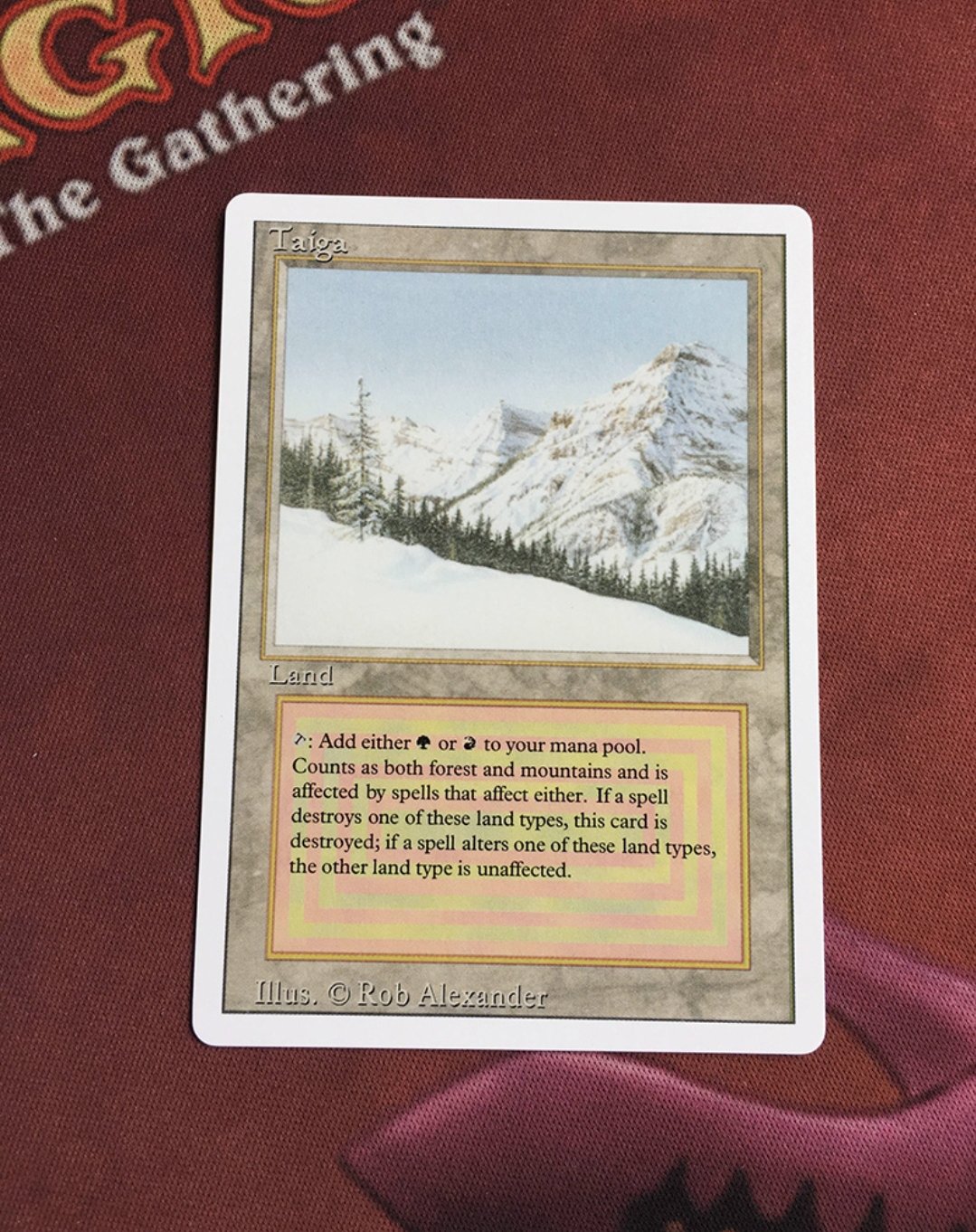 1x Mtg Proxy Taiga Revised magic the gathering proxy mtg cards