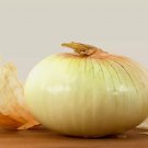 250 Seeds Treated Vidalia Sweet Onion Non-GMO Heirloom 250 Seeds Treated Vidalia Sweet Onion Non-GMO Heirloom