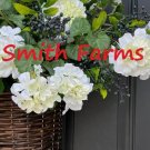 25 Seeds White Geranium Flowers Garden 25 Seeds White Geranium Flowers Garden