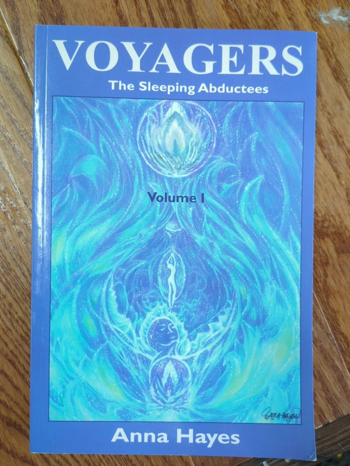 Voyagers Vol 1 Sleeping Abductees Anna Hayes