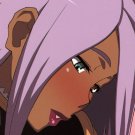 Garnet-San no Ouji-Sama Ikusei DS