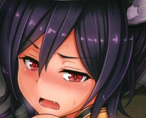 Seishori Kyoukan Ilsa