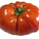50 Red Brandywine Tomato Seeds - Heirloom Big Juicy Slicers Tomatoes Non-Gmo Seed