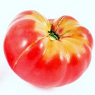 50 Pink Brandywine Tomato Seeds - Heirloom Non-Gmo Pink Tomatoes