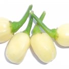 25 White Habanero Seeds - Heirloom Hot Peppers Non-Gmo Seed