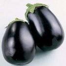 400 Black Beauty Eggplant Seeds - Heirloom Oriental Eggplant Seed 400 Black Beauty Eggplant Seeds - Heirloom Oriental Eggplant Seed