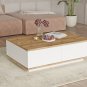 Future Coffee Table with 2 Doors Pine-White