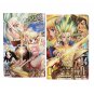 Dr Stone Manga English Comic Full Set Volume 1-26 Books by Riichiro Inagaki NEW