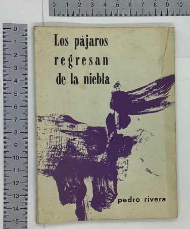 Pedro Rivera. Los pajaros regresan de la niebla, Junio, 1970. ZLO000094