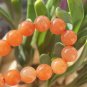 7.3-7.6mm Type A Myanmar Icy Red Jadeite Jade Beaded Bracelet