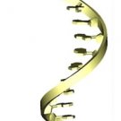 SsDNA Synthesis Service