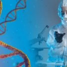 Strain Development Services